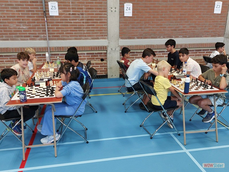 OJK16 OJK16